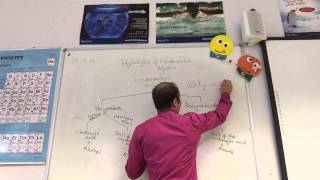 Hydrolysis of polyesters and polyamides from wwwChemistryTuitionNet [upl. by Syverson586]