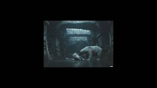 Iorek Byrnison Edit hisdarkmaterials iorek polarbear [upl. by Carma]