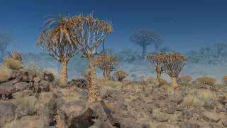 Namibia  Gariganus Farm [upl. by Neelyk620]