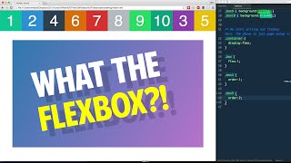 Flexbox Ordering  Tutorial 5 of 20 💪 [upl. by Church659]