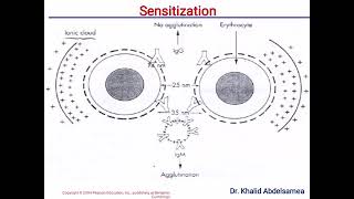 Antigen Antibody Reaction [upl. by Jeremias]