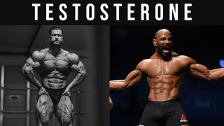 How To Increase Testosterone  Full Guide to Increasing Your Testosterone [upl. by Aleacim]