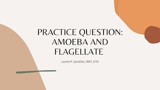 PRACTICE QUESTION AMOEBA AND FLAGELLATES [upl. by Aicnilav689]