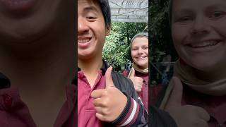 Scenic World Katoomba Excursion Part 2 clip shorts trending fun excursion [upl. by Tamanaha]