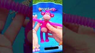 Learn Animal Names for Babies Toddlers Kids Flamingo Chameleon Gecko Giraffe Monkey Alpaca [upl. by Margery]