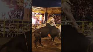 ¡Adrenalina pura en cada monta de jaripeo JaripeoMexicano MontasLegendarias PasiónCharra [upl. by Baler]