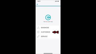 Carista App Customisation Options for Toyota C HR [upl. by Anma]