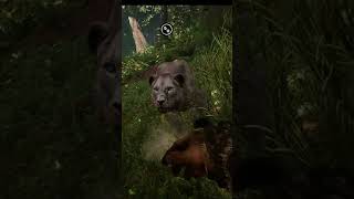 ترويض كامل حيونات Far cry PRIMAL [upl. by Leanora]