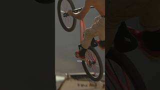 Dawid Godziek P3 Bikecheck [upl. by Dexter778]