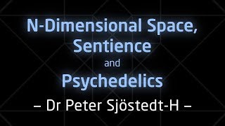 NDimensional Space Sentience and Psychedelics – SLIDES [upl. by Linneman238]