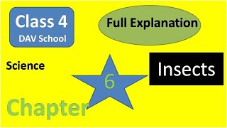 DAV Class 4 Science Chapter 6 Insects [upl. by Werdna]