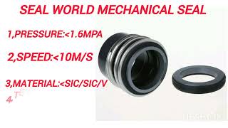 Mechanical Seal KSB Pump Seal MG13 [upl. by Esined533]