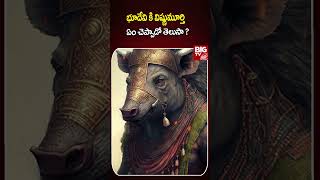 భూదేవి కి విష్ణుమూర్తి ఏం చెప్పాడో తెలుసా   Narakasura Story  BIG TVBIGTVSpiritual789 [upl. by Showker739]