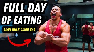 High Protein Lean Bulk Diet To Build Muscle  Full Day Of Eating [upl. by Nagar]