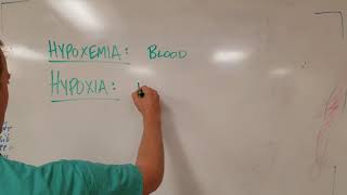 Hypoxia vs Hypoxemia Know the Difference [upl. by Delmer]