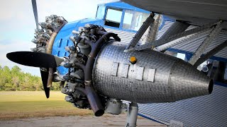 Old RADIAL ENGINES Cold Starting Up and Loud Sound 9 [upl. by Cy]