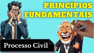 Princípios Fundamentais Processo Civil  Resumo Completo [upl. by Dlaniger]