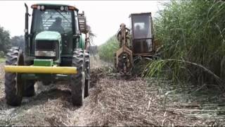 Sugarcane planting in Louisiana [upl. by Alejandrina]