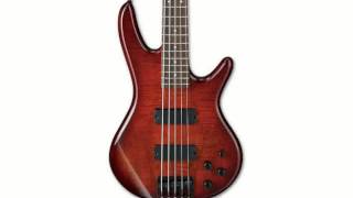 Ibanez GSR205SM 5String Electric Bass [upl. by Detta]