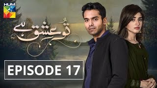 Tu Ishq Hai Episode 17 HUM TV Drama 23 January 2019 [upl. by Nael824]