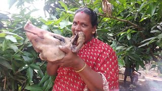 Yummy Pig Head Cooed Recipe  Pig Head Cooking  Pork Head Recipe In Tamil  Aachi Gramathu Samayal [upl. by Knight]