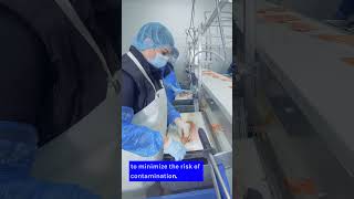 Preventing CrossContamination in Food Processing [upl. by Proud]