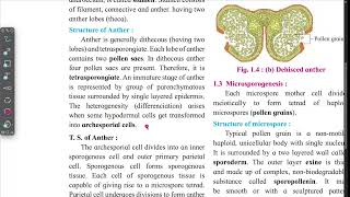 structure of ANTHER in marathi [upl. by Lanaj]