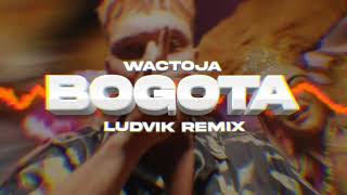 Wac Toja  BOGOTA Ludvik Remix [upl. by Nylanna]