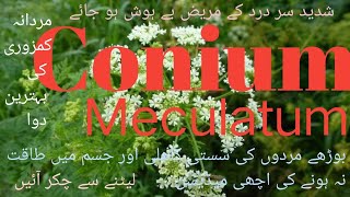 Homoeopathic medicine Conium Meculatum uses [upl. by Dorinda88]