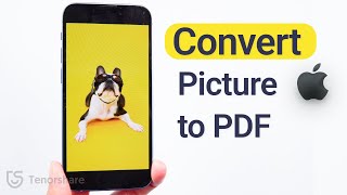 How to Convert Picture to PDF on iPhone  Best 3 Ways [upl. by Baily]