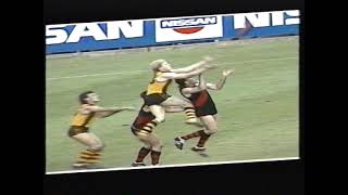 Dermott Brereton Hawthorn Hawks Toughest Bravest VFLAFL EVER [upl. by Hillell]