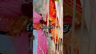 Nikah Ma Haq Mehar 8 Lac Aur 5 tole Sunna  islamic video wedding shorts [upl. by Chapin]