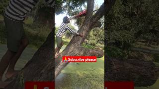 Amazing Fast Ped Kaatne Wali Machine Extreme Efficient Tree Cutting [upl. by Sil]