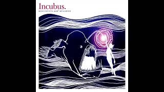 Nice To Know You  Incubus HQ Audio [upl. by Krefetz331]