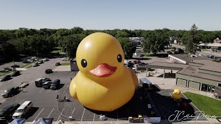 Worlds Largest Rubber Duck Inflation Video [upl. by Stelle]