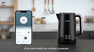 How to set up the kettle  Smart Kettle by WeeKett [upl. by Dev]