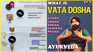 Ep 12 Vata Dosha Made Simple Easy Ayurveda Animations [upl. by Garret]