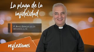 La plaga de la infidelidad  Padre Ángel Espinosa de los Monteros [upl. by Keare45]