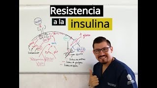 Resistencia a la insulina con Leo Martínez [upl. by Elocel856]