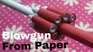 How to Make a Gun that Shoot Bullet  Paper BlowGun  Tricks and Crafts [upl. by Sitoiganap451]