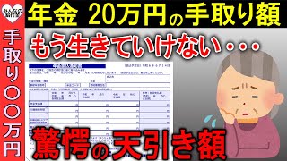 【2024年10月最新版】年金20万円の手取り額！天引きされる税金が驚愕の結果に…もう生きていけない！ [upl. by Dnomyaw766]