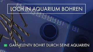 Loch in die Aquarien Bohren  Aquarienanlagen Bau  GarnelenTv [upl. by Ahkos]