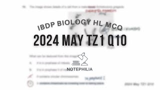 IB Biology HL 2024 May TZ1 Paper 1 Q10 [upl. by Ennyleuqcaj]