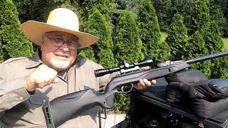 My 7 Best Shooting Tips For Gamo Air Rifles [upl. by Trik205]