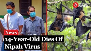 Nipah Virus 14YearOld Boy From Kerala Dies Of Nipah Virus Health Officials On High Alert [upl. by Ivo]