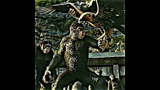 Dont Touch😈My Friends⚡Falco Attitude 🔥 kingdomoftheplanetoftheapes marvel marvelstudios [upl. by Noyes166]