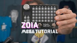 ZOIA Mega Tutorial 1 [upl. by Desdamona953]