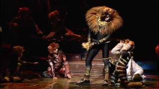 Cats  The Rum Tum Tugger [upl. by Lilah]