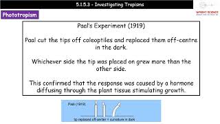 A Level Biology  5153  Investigating Tropisms [upl. by Kristoffer]