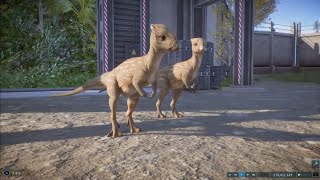 ＃103 Jurassic World Evolution 2（ジュラシック ワールド エボリューション2）［PS4配信］ [upl. by Eneiluj]